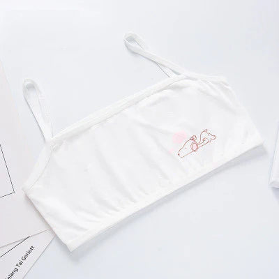 Scarlet Pack Of 3 New Fashion Teenage Training Bra Multi Print Bras For Girls (8-16) Years